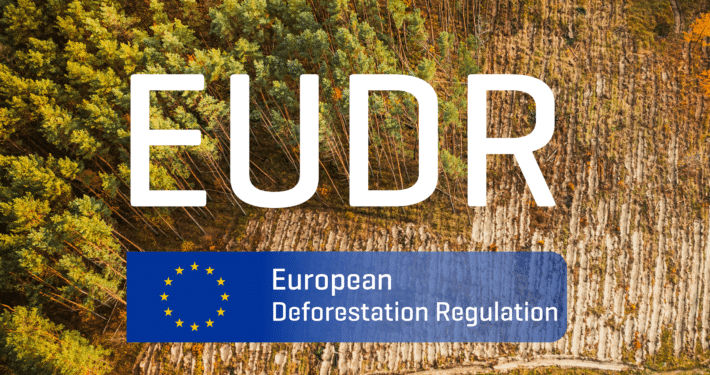 EU-bosverordening (EUDR): Klaar voor 2026